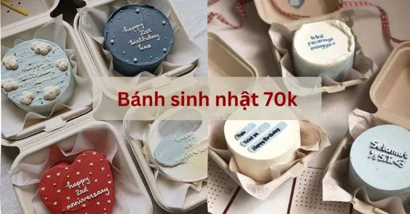 Bánh Sinh Nhật 70k To Hay Nhỏ? Mua ở đâu Ngon? Bid133_65a99c81f33b1.jpeg