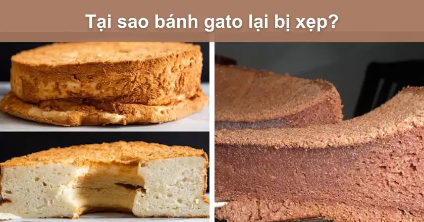 Tại Sao Bánh Gato Bị Xẹp, Cách Khắc Phục