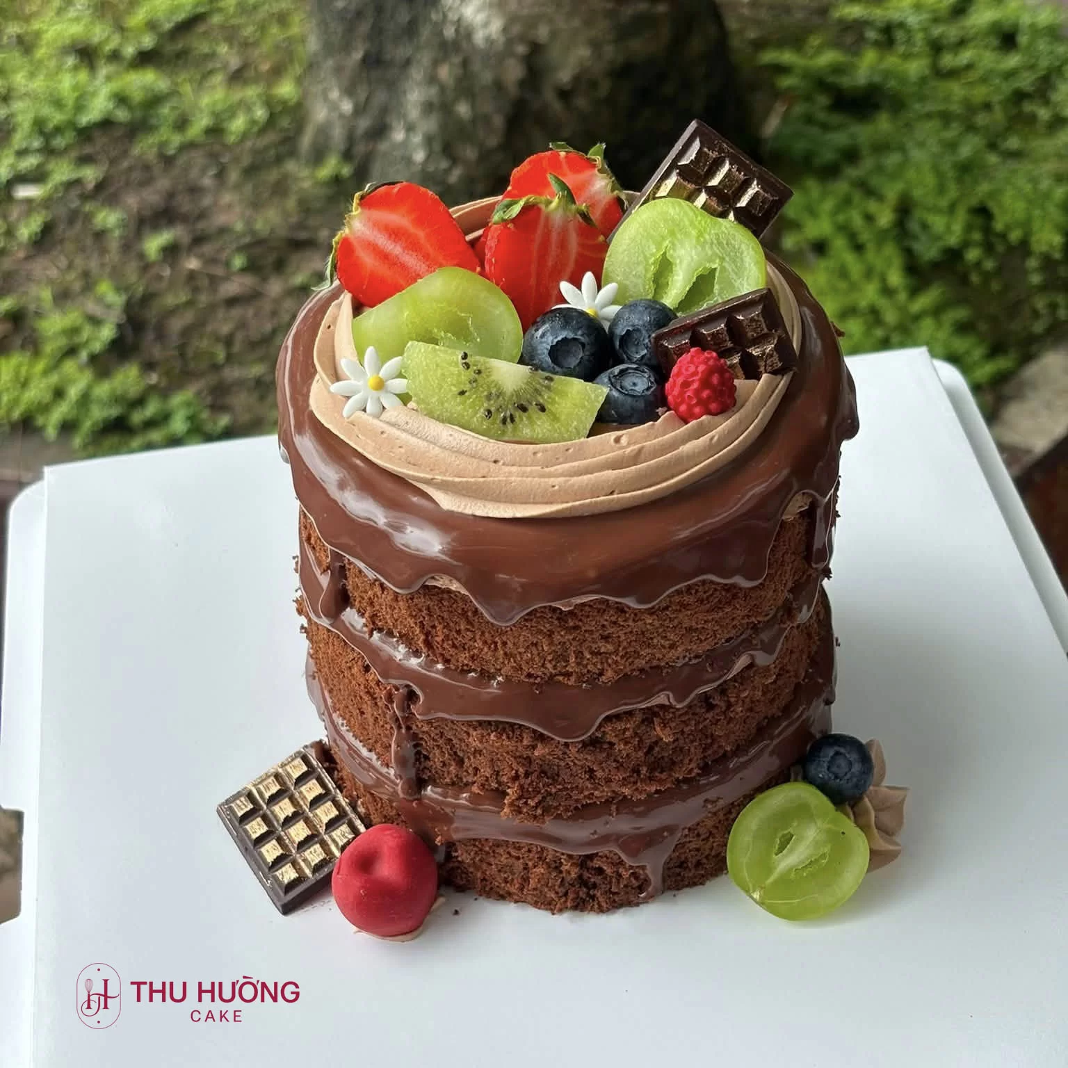 Kết cấu bánh Choco Rhum Cake